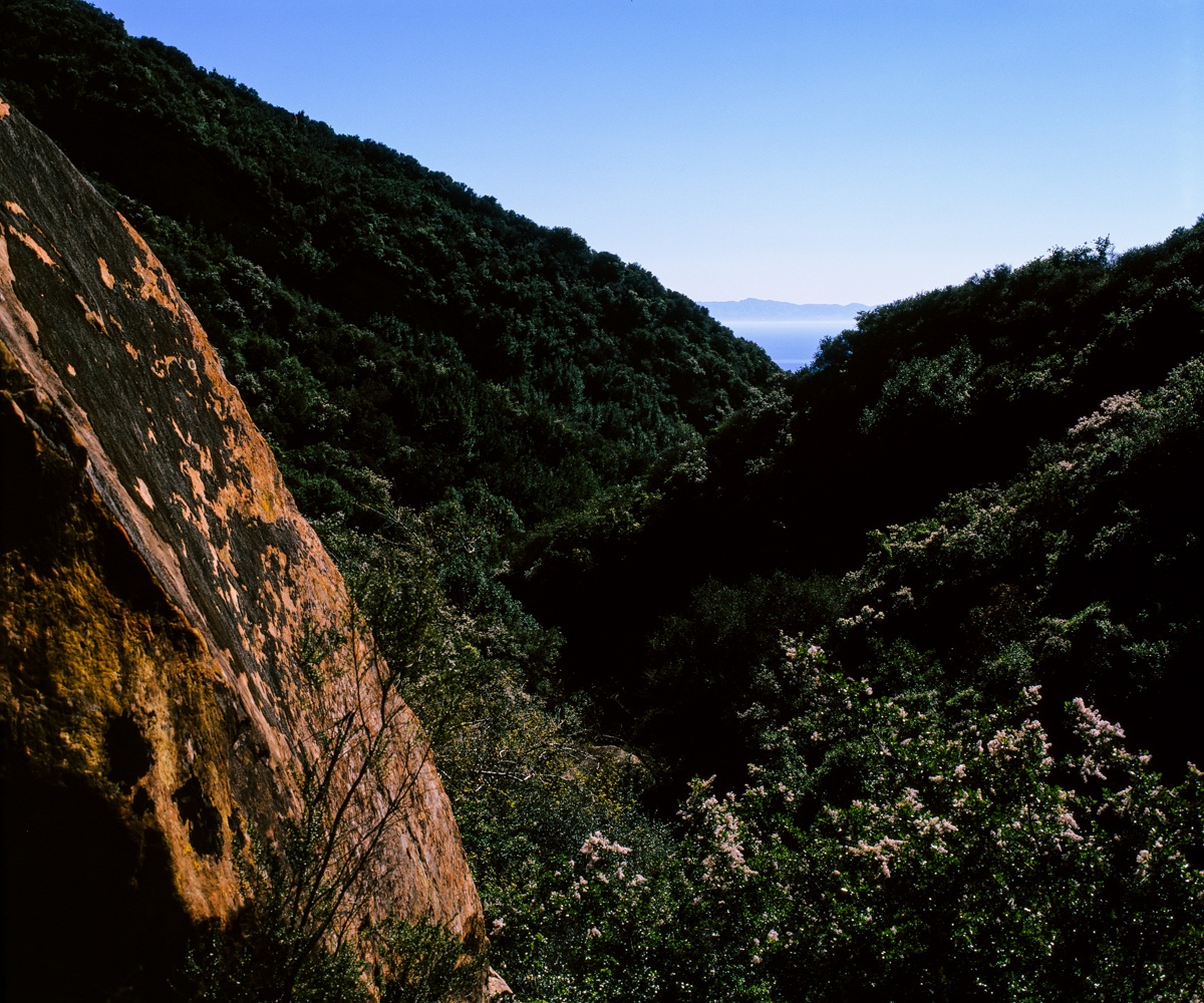 Santa Cruz Island Vista
