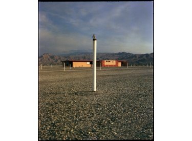 sf67_colorneg-09